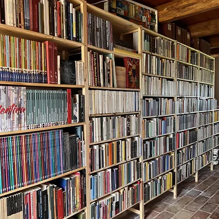The Reading Cat Retreat * Poggio San Marcello