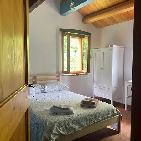The Reading Cat Retreat * Poggio San Marcello