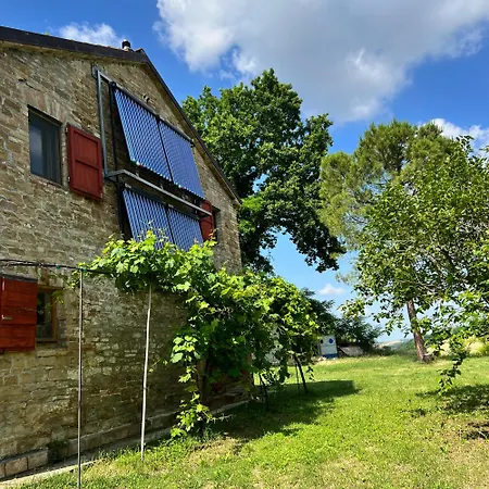 The Reading Cat Retreat Homestay