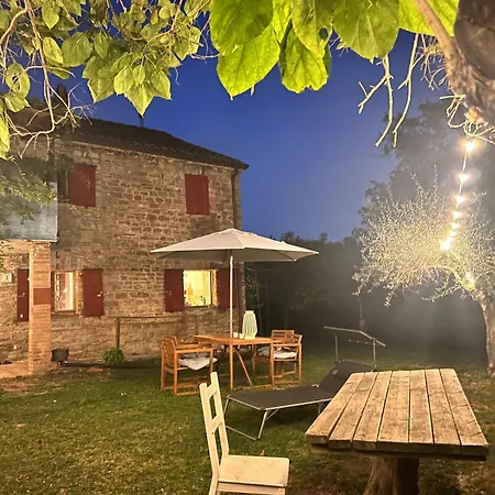 The Reading Cat Retreat Poggio San Marcello