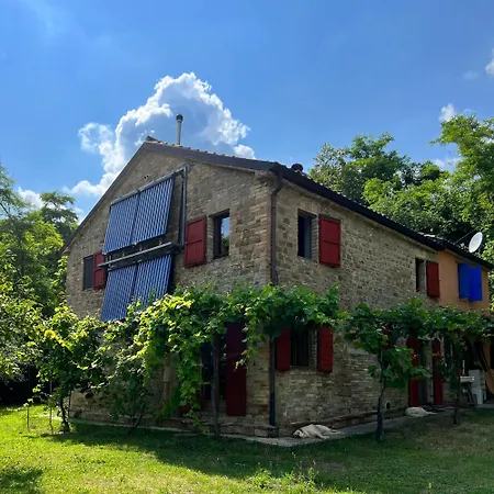The Reading Cat Retreat Homestay