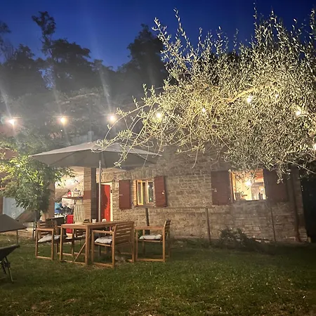 Homestay The Reading Cat Retreat Poggio San Marcello