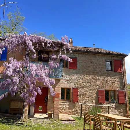 Accommodatie bij particulieren The Reading Cat Retreat *