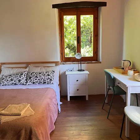The Reading Cat Retreat * Poggio San Marcello