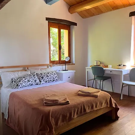 The Reading Cat Retreat * Poggio San Marcello